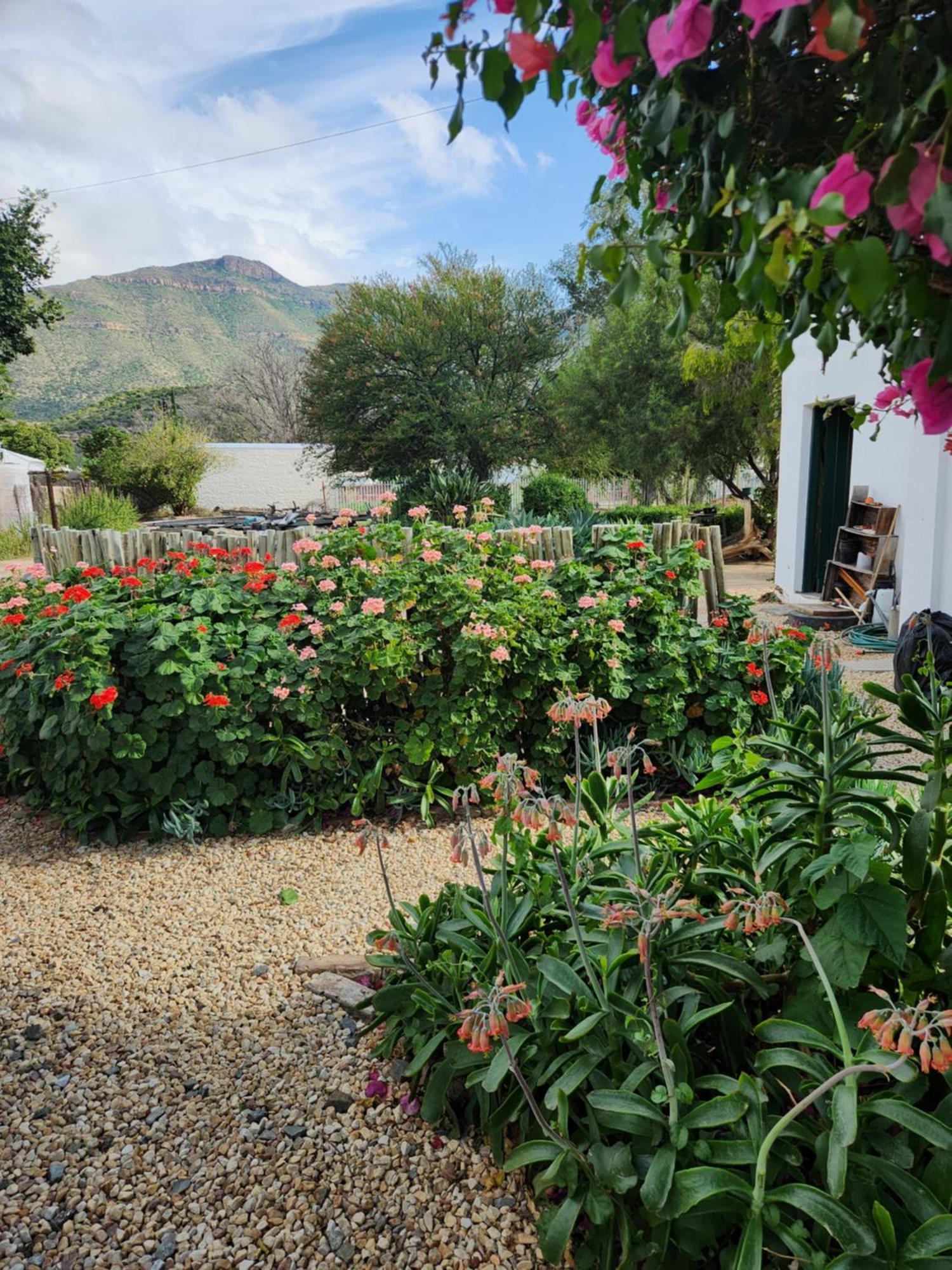 Die Dorpshuis Graaff Reinet Exterior photo